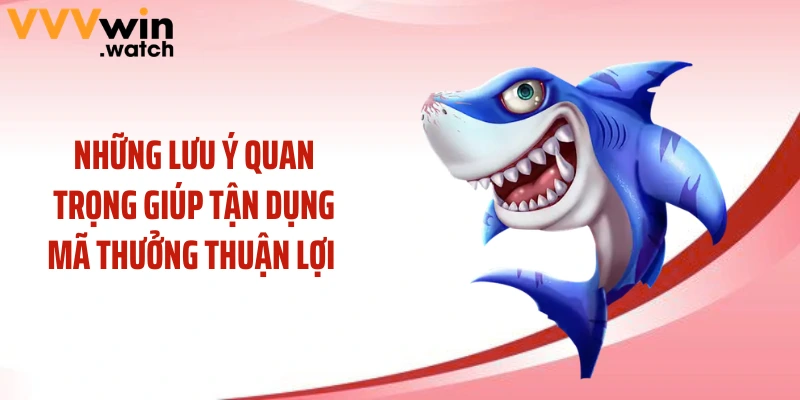 Những lưu ý quan trọng giúp tận dụng mã thưởng thuận lợi 